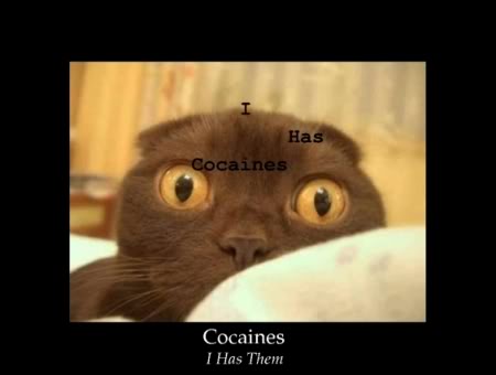 Name:  cocaines.jpg
Views: 13
Size:  13.5 KB