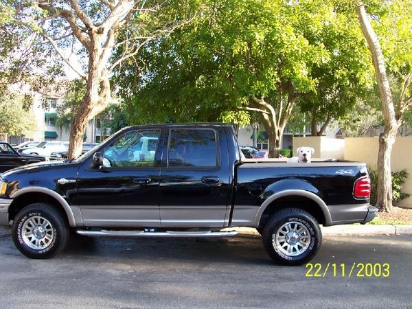 2003 Ford f150 paint recall #4