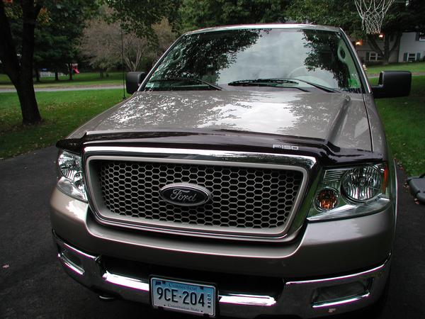 2007 ford f150 bug deflector