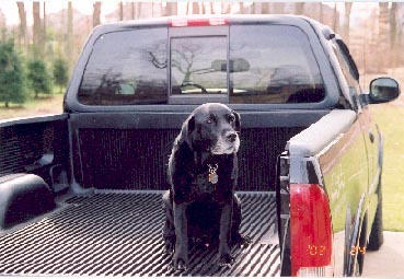 Want To Get A Good Cheap Soft Tonneau Cover F150online Forums