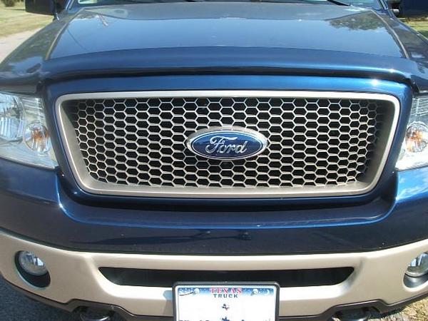 2007 ford f150 bug deflector