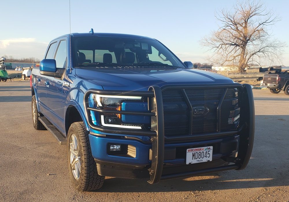 Ford F-150 Brush Guard