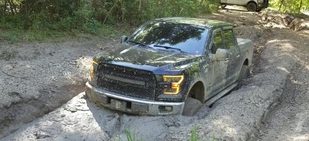 Ford F-150 in Crazy Mud