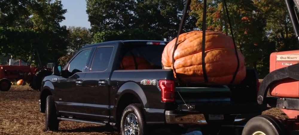 F-150 Pumpkin