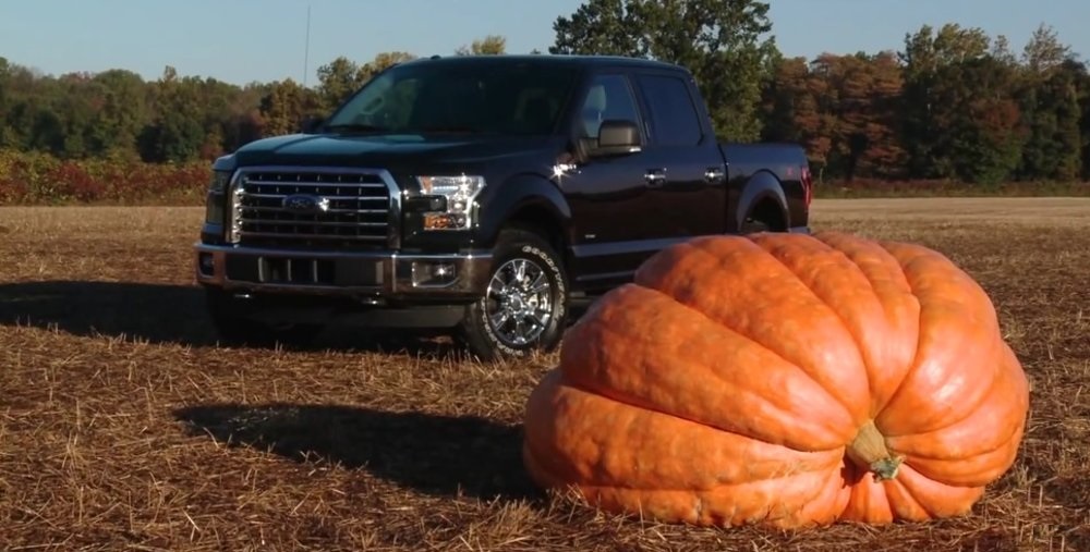 F-150 Pumpkin